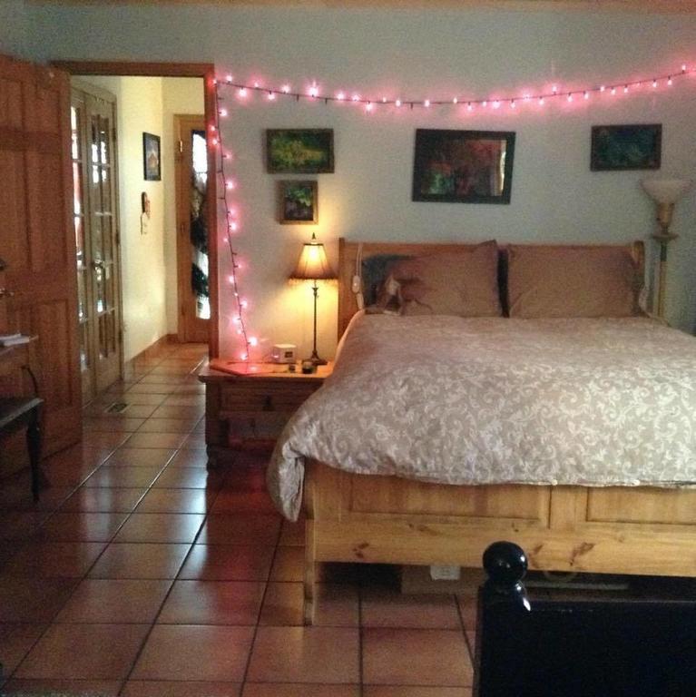 Mystic Portal 420 Guesthouse โคโลราโดสปริงส์ ห้อง รูปภาพ