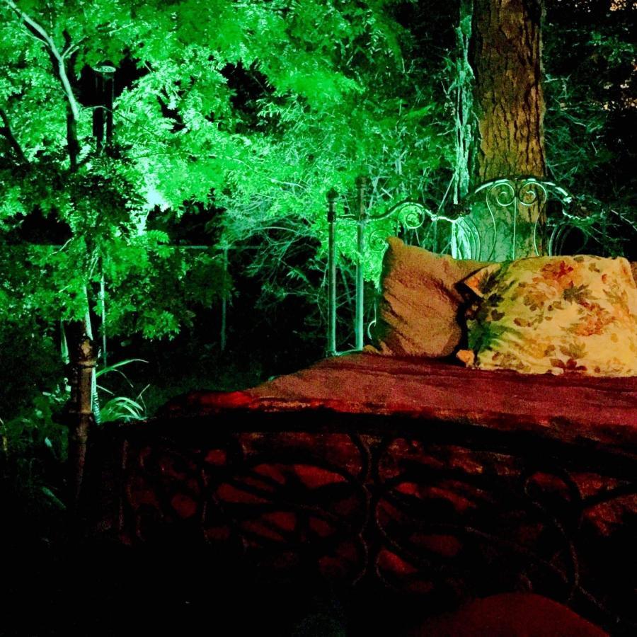 Mystic Portal 420 Guesthouse โคโลราโดสปริงส์ ภายนอก รูปภาพ